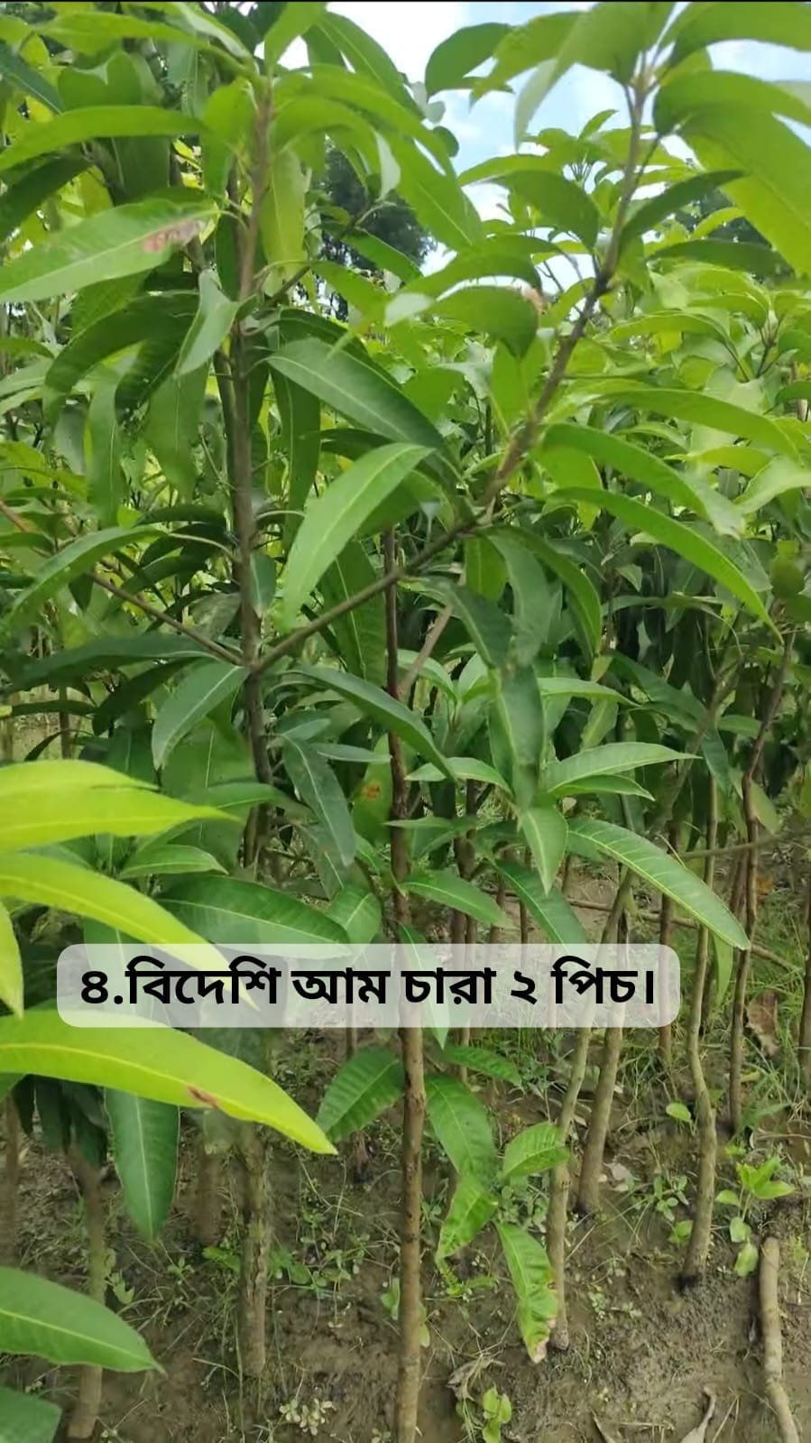 WhatsApp Image 2025-09-06 at 11.37.03 PM