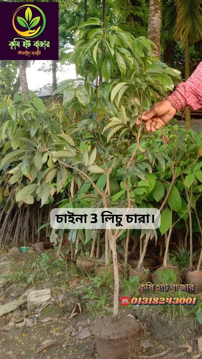 WhatsApp Image 2025-09-06 at 11.38.15 PM (1)